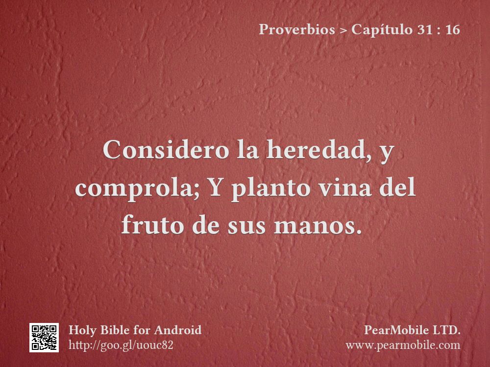Proverbios, Capítulo 31:16
